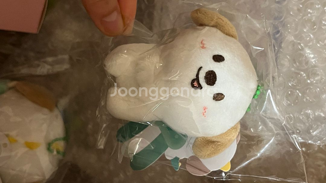 라이즈 굿즈 앤톤 멍룡이 인형 일괄 판매--2