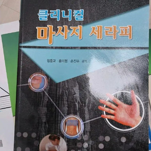 클리니컬 마사지 세라피 책