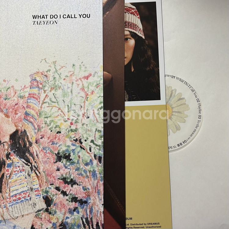 태연 WHAT DO I CALL YOU 개봉 엘피 LP--2