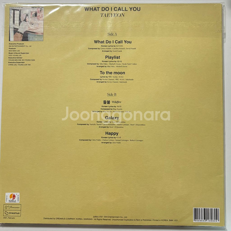 태연 WHAT DO I CALL YOU 개봉 엘피 LP--3