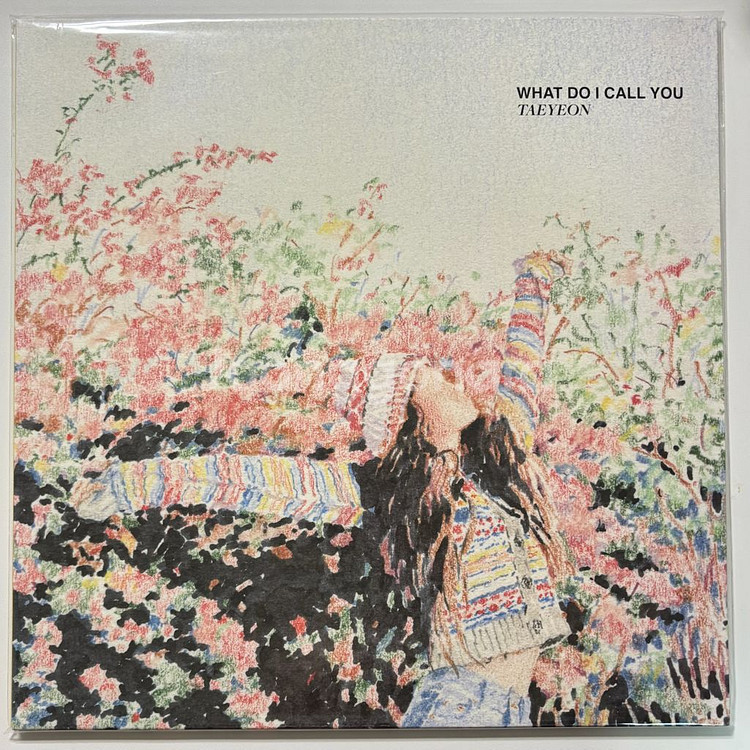 태연 WHAT DO I CALL YOU 개봉 엘피 LP--1
