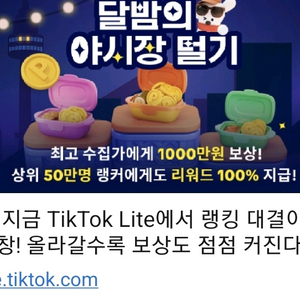 틱톡라이트 야시장털기 팝니다