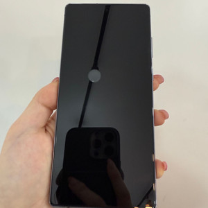 갤럭시노트20 256GB 그레이/ Y872