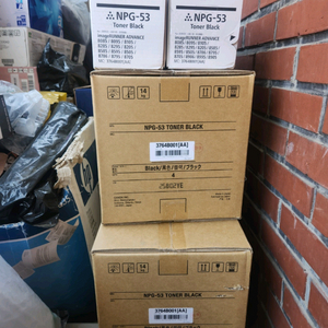 npg-53. npg53