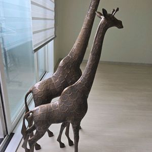 기린 한쌍