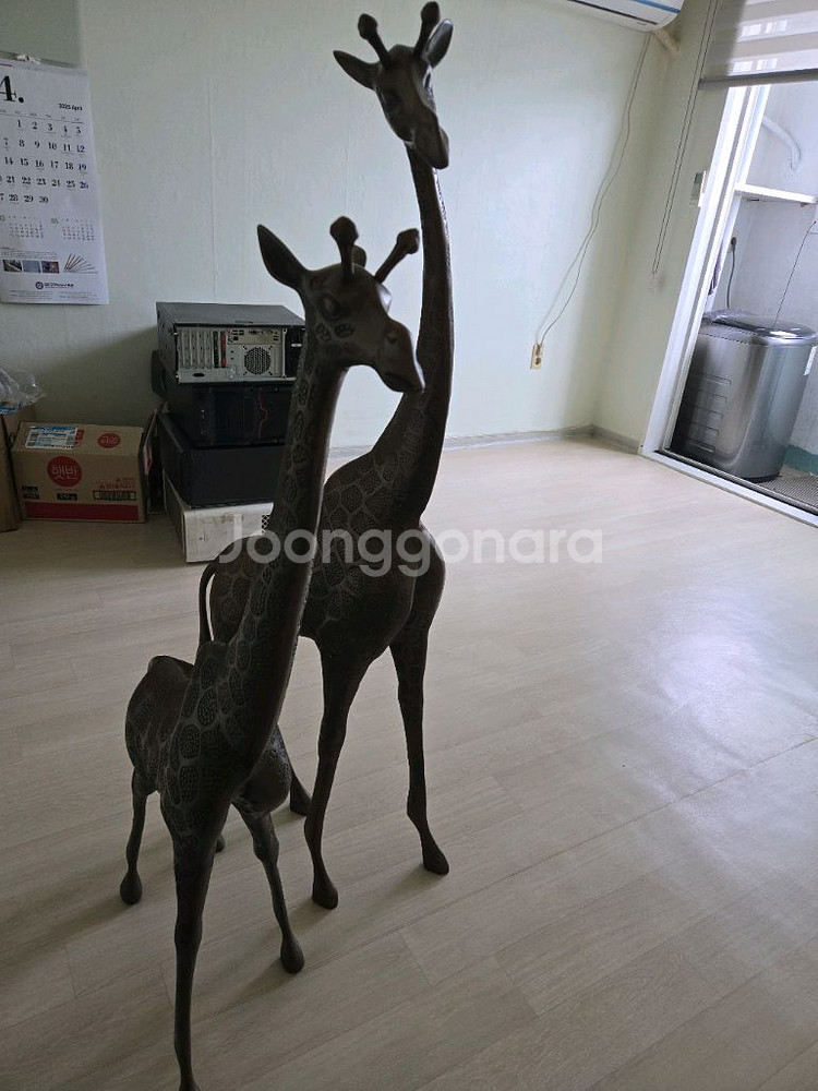 기린 한쌍--1