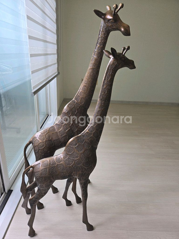 기린 한쌍--2