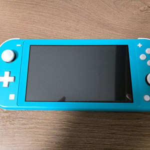 닌텐도 스위치 라이트