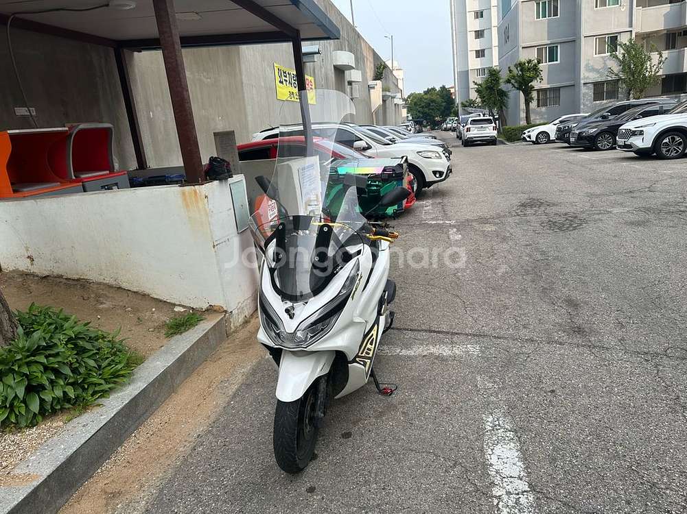 pcx 2020년식--0