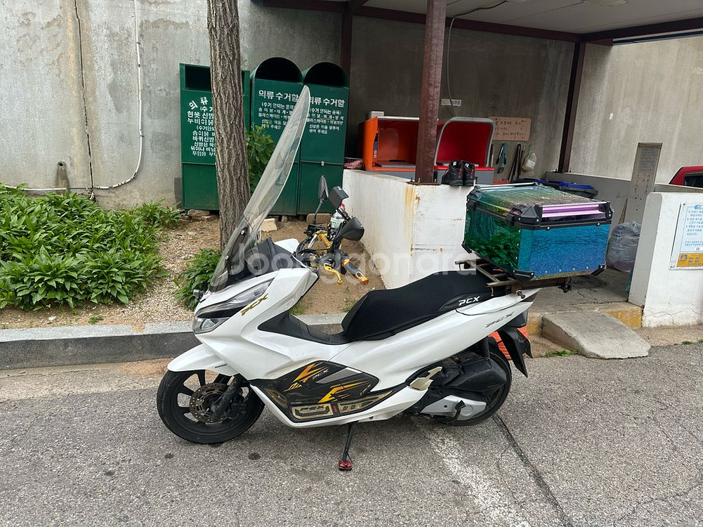 pcx 2020년식--1