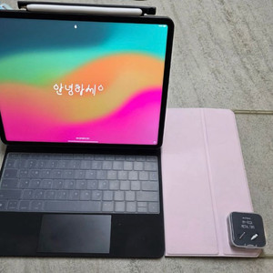 아이패드 프로 12.9 5세대 m1 2TB