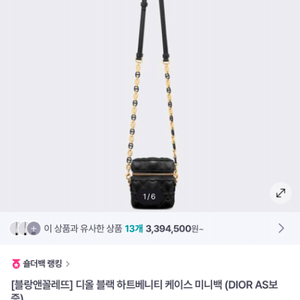 디올마이크로하트베니티가방 선물용