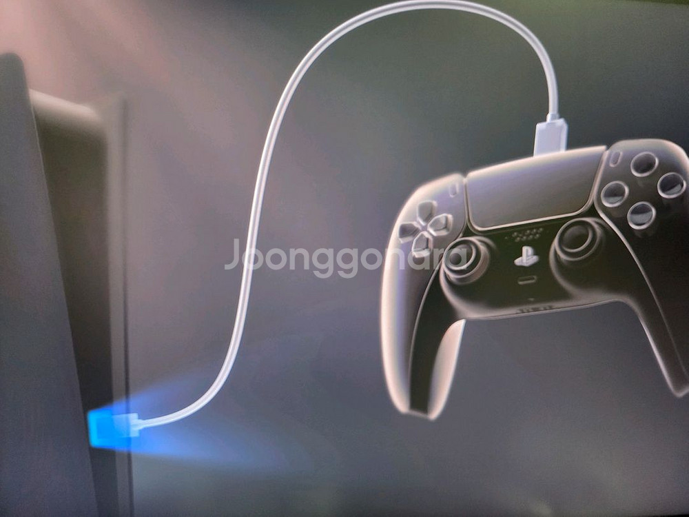 플스5 psn 구독권 디럭스--0