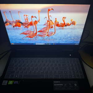 기가바기트 3060 g5 게이밍노트북