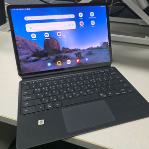 갤럭시탭 S7+ 셀룰러 256기가
