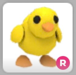 입양하세요 펫--0