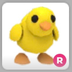 입양하세요 펫