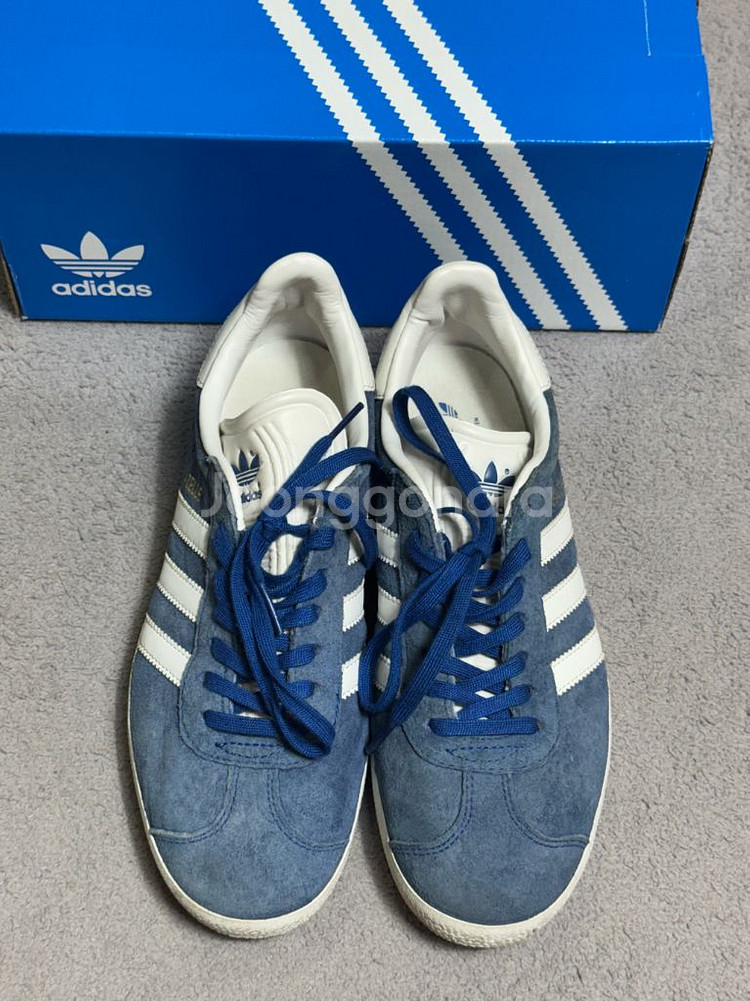 ADIDAS Gazelle 아디다스 가젤 블루 컬리지에--1