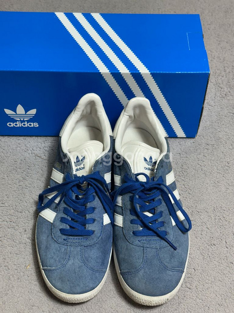 ADIDAS Gazelle 아디다스 가젤 블루 컬리지에--3