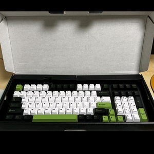 독거미 F99 FR4 베어본 팝니다