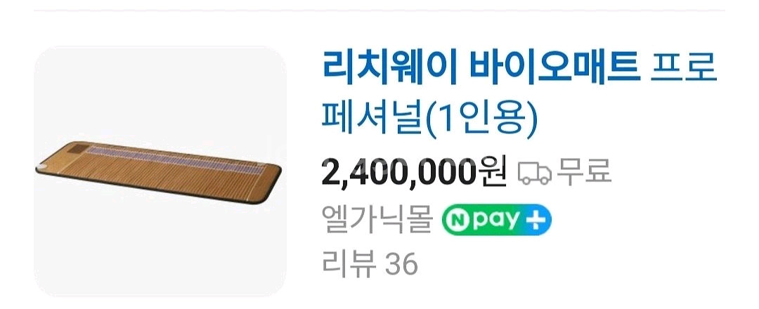 리치웨이 바이오매트 프로.수족냉증.면역력강화.암환자 추--1