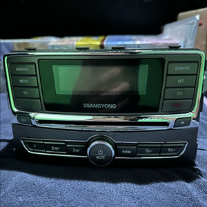 렉스턴W 순정 오디오 (89110-08C00)