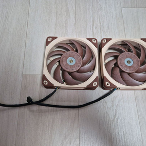 녹투아 A12X25 2EA