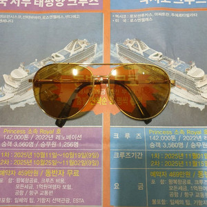 가디언 선글라스 (무료배송)