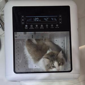 강아지 고양이 캐치웰 펫드라이룸