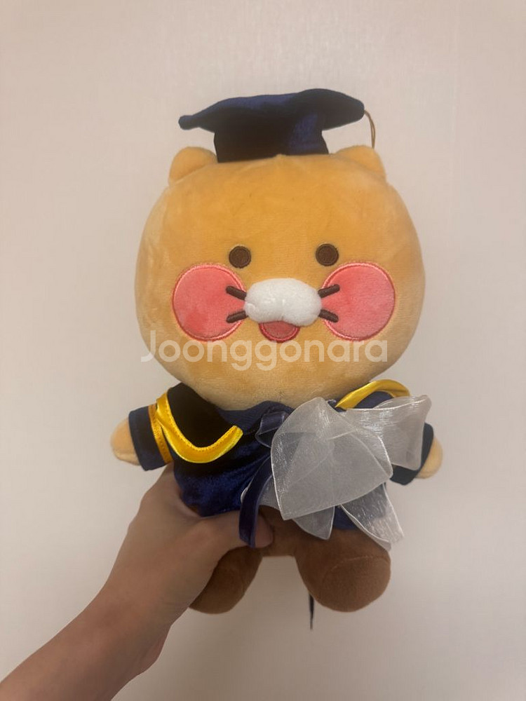 춘식이 졸업인형--0