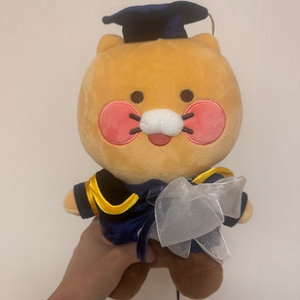 춘식이 졸업인형