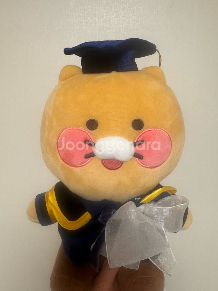 춘식이 졸업인형--3