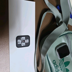 애플워치SE44mm