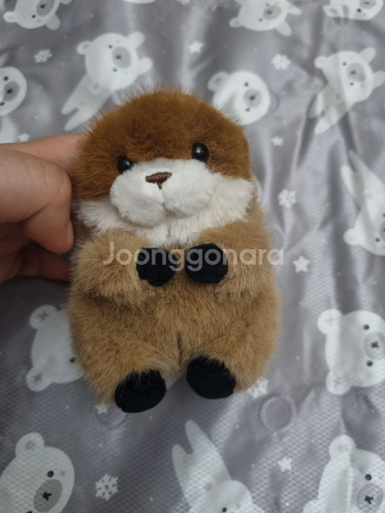코커짱인줄 우소우소짱 다크브라운 12cm 키링 인형--4