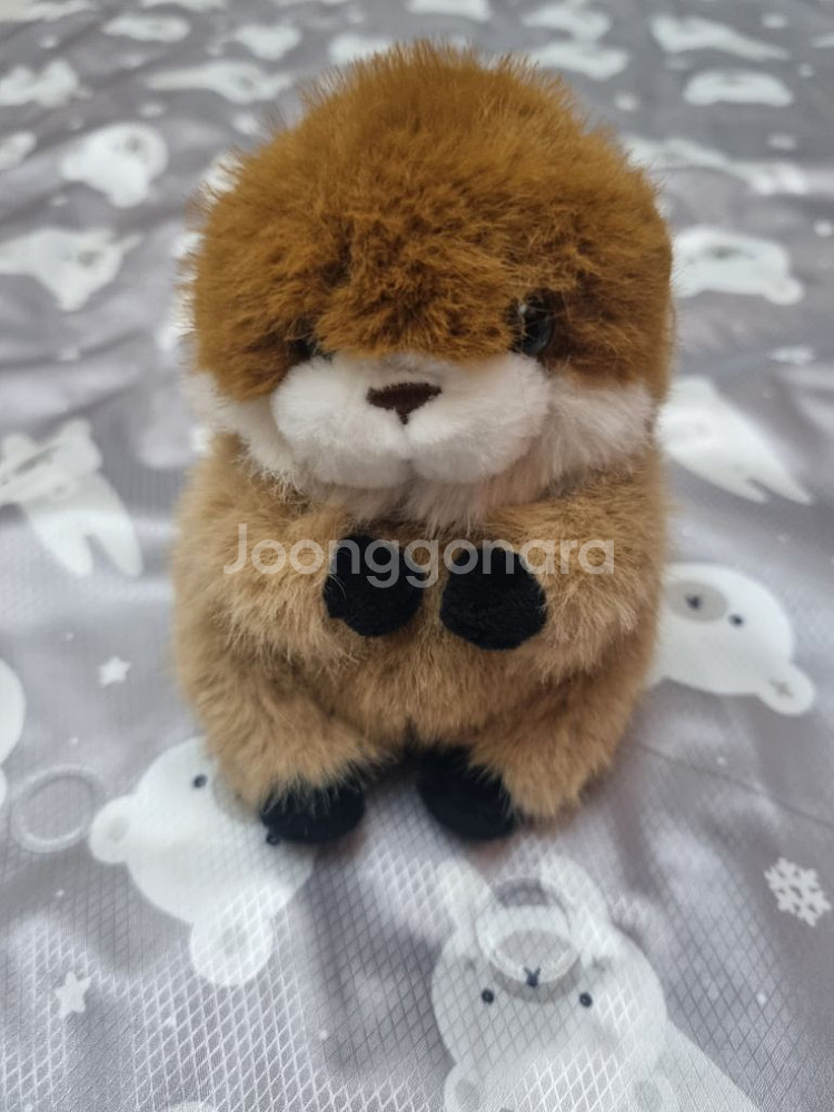 코커짱인줄 우소우소짱 다크브라운 12cm 키링 인형--5