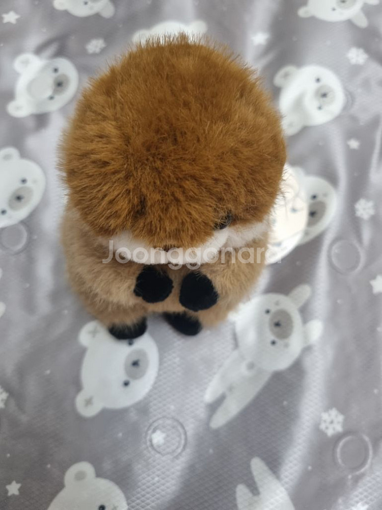 코커짱인줄 우소우소짱 다크브라운 12cm 키링 인형--6