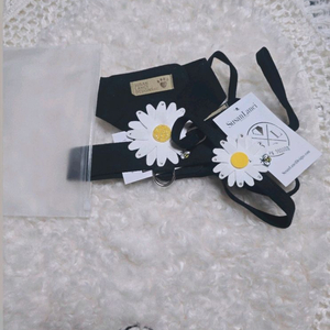 강아지 애견 수잔랜시 하네스 목줄