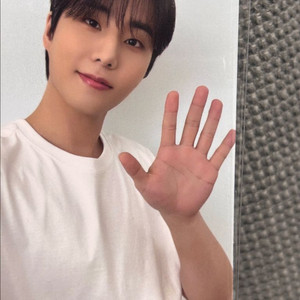 로이비 영케이 포카 4종