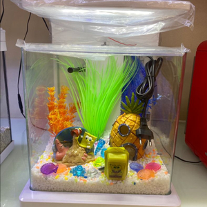 서울 일체형 자연가습기 어항 수족관 화이트