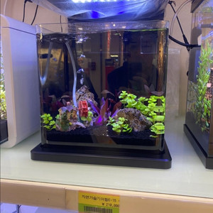 일체형 디자인 자연가습기 어항 수족관 블랙