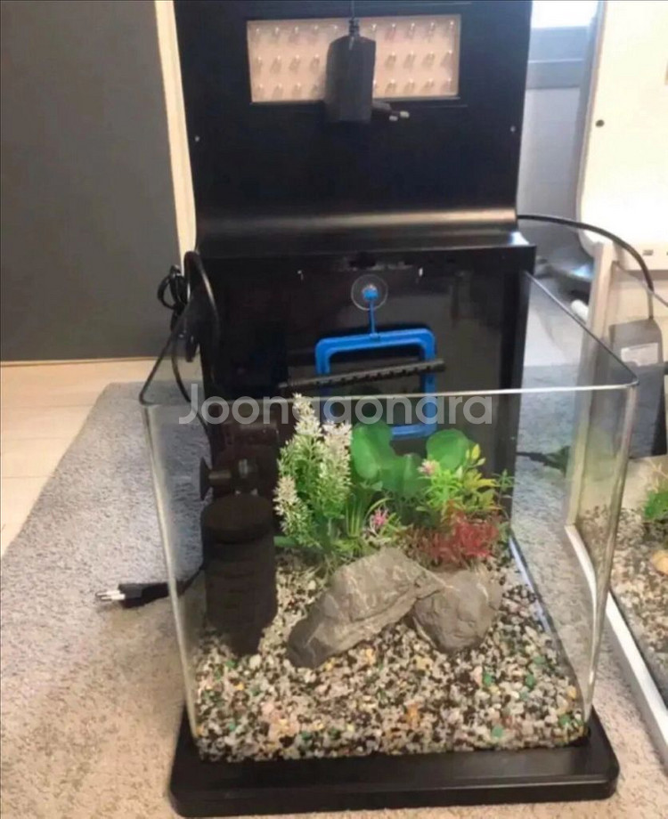 일체형 디자인 자연가습기 어항 수족관 블랙--1
