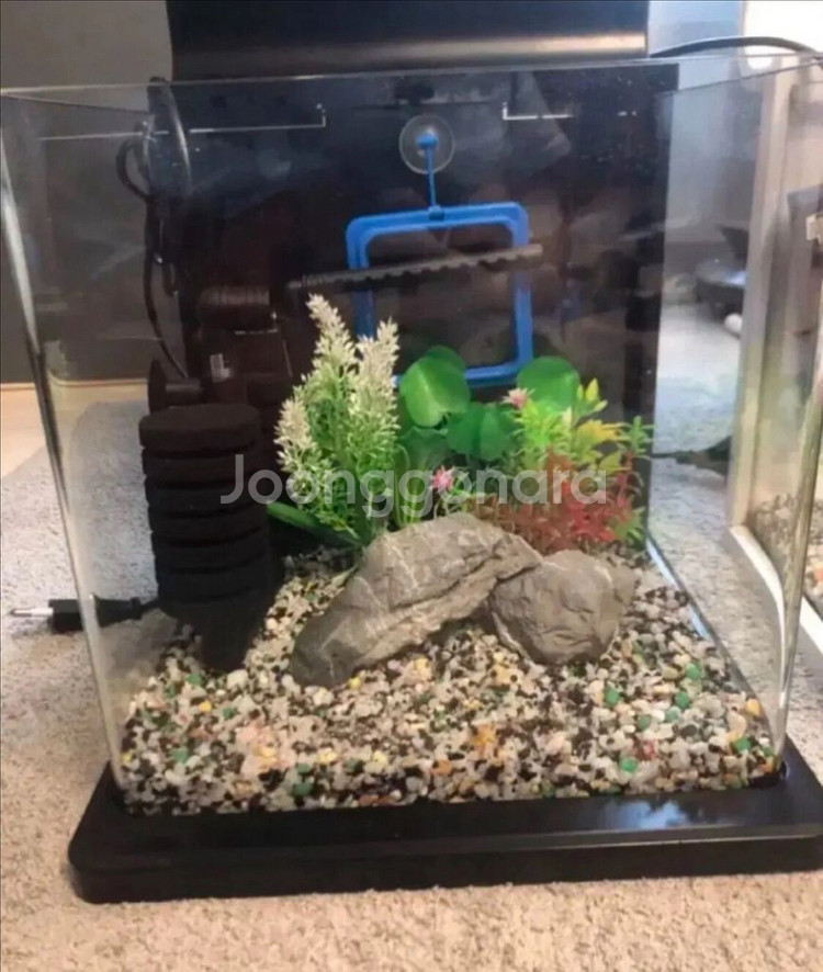 일체형 디자인 자연가습기 어항 수족관 블랙--2