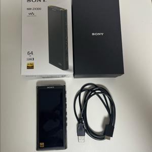 소니 zx300 sony dap mp3