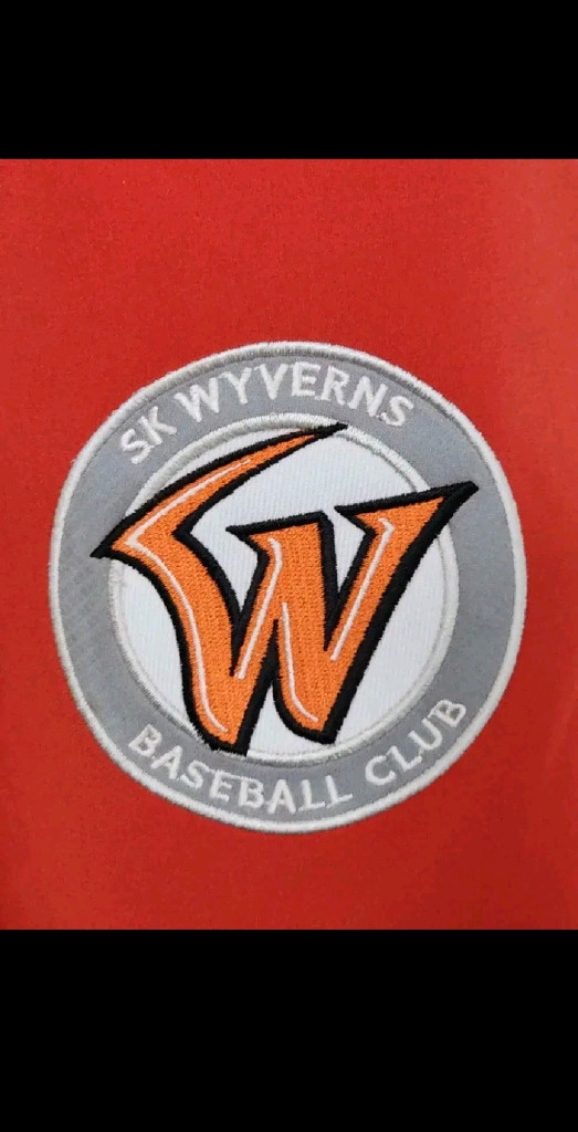 (L) SK 와이번스 야구점퍼 빨강 스타디움 자켓 이미지