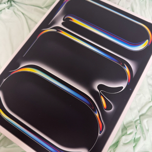 애플 ipad 아이패드 프로 11 M4 256GB