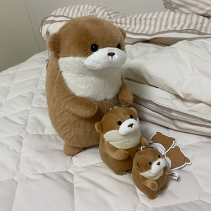 우소우소 수달 인형 대중소