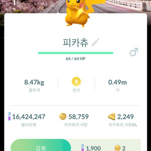 포켓몬고 로케 여의도 이로치 피카츄 판매