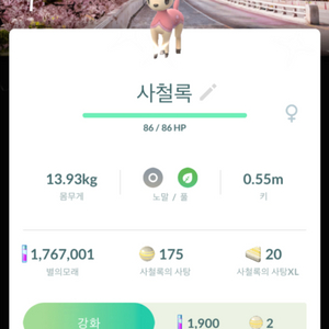포켓몬고 로케 여의도 이로치 사철록 판매