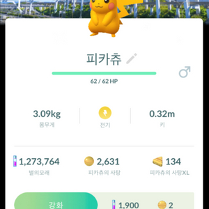 포켓몬고 로케 오사카 이로치 피카츄 판매