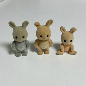 실바니안 올드 회색토끼, 귀접토끼 아기 일괄